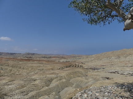 P1080880 copy 2000x1500