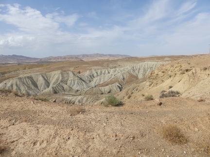 P1080921 copy 2000x1500