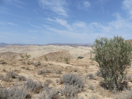 P1080917 copy 2000x1500